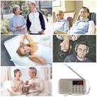 Y-896 Portable Stereo LCD Digital FM AM Radio Speaker, Rechargeable Li-ion Battery, Support Micro TF Card / USB / MP3 Player - 9