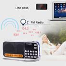 Y-501 Portable  Hi-Fi FM AM Radio Speaker, Rechargeable Li-ion Battery, LED Light, Support Micro TF Card / USB / MP3 Player - 8