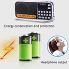 Y-501 Portable  Hi-Fi FM AM Radio Speaker, Rechargeable Li-ion Battery, LED Light, Support Micro TF Card / USB / MP3 Player - 9