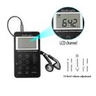 Portable AM / FM Two Bands Rechargeable Stereo Radio Mini Receiver with & LCD Screen & Earphone Jack & Lanyard (Black) - 4