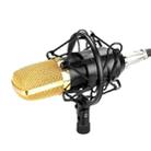 FIFINE F-700 Professional Condenser Sound Recording Microphone with Shock Mount for Studio Radio Broadcasting & Live Boardcast, 3.5mm Earphone Port, Cable Length: 2.5m(Black) - 1