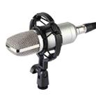 FIFINE F-700 Professional Condenser Sound Recording Microphone with Shock Mount for Studio Radio Broadcasting & Live Boardcast, 3.5mm Earphone Port, Cable Length: 2.5m(Silver) - 1