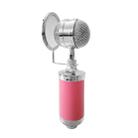 3000 Home KTV Mic Condenser Sound Recording Microphone with Shock Mount & Pop Filter for PC & Laptop, 3.5mm Earphone Port, Cable Length: 2.5m(Pink) - 1