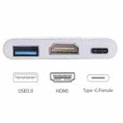 USB-C / Type-C 3.1 Male to USB-C / Type-C 3.1 Female & HDMI Female & USB 3.0 Female Adapter(Silver) - 5