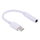 USB-C / Type-C to 3.5mm Audio Adapter, Length: about 10cm(White) - 1