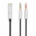 3.5mm Female to 2 x 3.5mm Male Adapter Cable(Silver) - 1