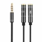 2 x 3.5mm Female to 3.5mm Male Adapter Cable(Black) - 1