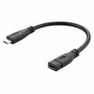 USB 3.1 Type-C / USB-C Male to Type-C / USB-C Female Gen2 Adapter Cable, Length: 20cm - 1