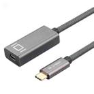 4K 60Hz USB-C / Type-C Male to Mini DisplayPort Female Adapter Cable - 1