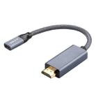 USB-C / Type-C Female to HDMI Male Adapter Cable - 1