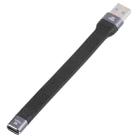 10Gbps USB Male to Type-C Female Soft Flat Sync Data Fast Charging Cable - 1