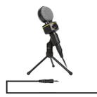 Yanmai SF-930 Professional Condenser Sound Recording Microphone with Tripod Holder, Cable Length: 2.0m, Compatible with PC and Mac for Live Broadcast Show, KTV, etc.(Black) - 1