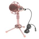 Yanmai Y20 Professional Game Condenser Microphone  with Tripod Holder, Cable Length: 1.8m, Compatible with PC and Mac for  Live Broadcast Show, KTV, etc.(Rose Gold) - 2