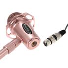 Yanmai Y20 Professional Game Condenser Microphone  with Tripod Holder, Cable Length: 1.8m, Compatible with PC and Mac for  Live Broadcast Show, KTV, etc.(Rose Gold) - 7