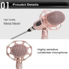 Yanmai Y20 Professional Game Condenser Microphone  with Tripod Holder, Cable Length: 1.8m, Compatible with PC and Mac for  Live Broadcast Show, KTV, etc.(Rose Gold) - 12