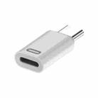 8 Pin Female to USB-C / Type-C Male Adapter Gen3, Supports PD Fast Charging for iPhone 15 Series - 1