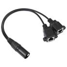 3-pin XLR Male to 2 x RJ45 Female Ethernet LAN Network Extension Cable, Cable Length: 30cm (Black) - 1