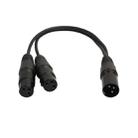 30cm 3 Pin XLR CANNON 1 Male to 2 Female Audio Connector Adapter Cable for Microphone / Audio Equipment(Black) - 1