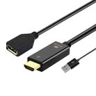 H146 HDMI Male + USB 2.0 Male to DisplayPort Female Adapter Cable, Length：25cm - 1