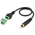 RCA Male Gold-plated to 2 Pin Pluggable Terminals Solder-free USB Connector Solderless Connection Adapter Cable, Length: 30cm - 1