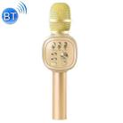 H12 High Sound Quality Handheld KTV Karaoke Recording Bluetooth Wireless Condenser Microphone(Gold) - 1