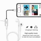 WIWU LT01 8 Pin Male to 8 Pin + 3.5mm Audio Jack Portable 2 in 1 Audio & Charging Adapter(Silver) - 5