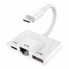 3 in 1 USB-C / Type-C Male to USB + 100M RJ45 Ethernet + Type-C Power Female Adapter - 1