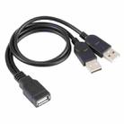 USB Female to 2 USB Male Cable, Length: About 30cm - 1