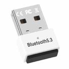 USB External Bluetooth 5.3 Adapter (White) - 1