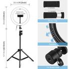 PULUZ 10.2 inch 26cm LED Ring Light  + 1.1m Tripod Mount Vlogging Video Light  Live Broadcast Kits - 2