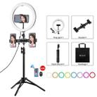 PULUZ 10.2 inch 26cm Curved Surface RGBW LED Ring Light + 1.1m Tripod Mount + Dual Phone Brackets Horizontal Holder + Vlogging Video Light  Live Broadcast Kits with Remote Control & Phone Clamp(Black) - 1