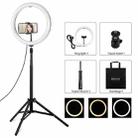 PULUZ 11.8 inch 30cm Light + 1.65m Tripod Mount Curved Surface USB 3 Modes Dimmable Dual Color Temperature LED Ring Vlogging Video Light Live Broadcast Kits with Phone Clamp(Black) - 1