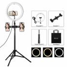 PULUZ 11.8 inch 30cm Light + 1.65m Tripod + Dual Phone Bracket Curved Surface USB 3 Modes Dimmable Dual Color Temperature LED Ring Vlogging Video Light  Live Broadcast Kits with Phone Clamp(Black) - 1