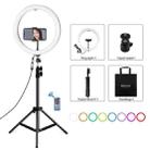 PULUZ 11.8 inch 30cm RGBW Light + 1.1m Tripod Mount Curved Surface Dimmable LED Dual Color Temperature LED Ring Selfie Vlogging Video Light  Live Broadcast Kits with Cold Shoe Tripod Ball Head & Phone Clamp & Remote Control(Black) - 1
