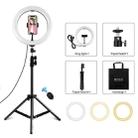 PULUZ 10.2 inch 26cm Ring Light + 1.1m Tripod Mount USB 3 Modes Dimmable Dual Color Temperature LED Curved Diffuse Light Vlogging Selfie Photography Video Lights with Phone Clamp & Selfie Remote Control(Black) - 1