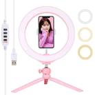 PULUZ 10.2 inch 26cm Selfie Beauty Light + Desktop Tripod Mount USB 3 Modes Dimmable LED Ring Vlogging Selfie Photography Video Lights with Cold Shoe Tripod Ball Head & Phone Clamp(Pink) - 1