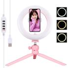 PULUZ 7.9 inch 20cm Light + Desktop Tripod Mount USB 3 Modes Dimmable Dual Color Temperature LED Curved Light Ring Vlogging Selfie Beauty Photography Video Lights with Phone Clamp(Pink) - 1