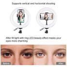 PULUZ 7.9 inch 20cm RGBW Light + Round Base Desktop Mount Dimmable LED Dual Color Temperature LED Curved Light Ring Vlogging Selfie Photography Video Lights with Phone Clamp(Black) - 3