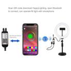 PULUZ 7.9 inch 20cm RGBW Light + Round Base Desktop Mount Dimmable LED Dual Color Temperature LED Curved Light Ring Vlogging Selfie Photography Video Lights with Phone Clamp(Black) - 13