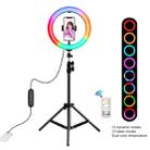 PULUZ 10.2 inch 26cm Marquee LED RGBWW Selfie Beauty Light  + 1.1m Tripod Mount 168 LED Dual-color Temperature Dimmable Ring Vlogging Photography Video Lights with Cold Shoe Tripod Ball Head & Remote Control & Phone Clamp(Black) - 1