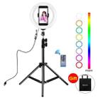 PULUZ 7.9 inch 20cm USB RGB Light+ 1.1m Tripod Mount Dimmable LED Dual Color Temperature LED Curved Light Ring Vlogging Selfie Photography Video Lights with Phone Clamp(Black) - 1