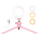 PULUZ 4.7 inch 12cm Light + Desktop Tripod Mount USB 3 Modes Dimmable LED Ring Vlogging Selfie Photography Video Lights with Cold Shoe Tripod Ball Head (Pink) - 1