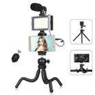 PULUZ  4 in 1 Vlogging Live Mini Octopus Bracket Kit + Studio Light + Microphone + Phone Clamp Kits(Black) - 1