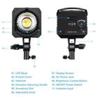 PULUZ 220V 150W 3200K-5600K Studio Video Light + 2.8m Light Holder + 65cm Foldable Lantern Softbox Photography Kit(US Plug) - 8