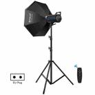 PULUZ 150W Photo Studio Strobe Flash Light Kit with Softbox Reflector & Tripod(EU Plug) - 1