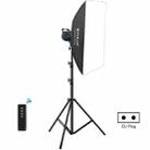 PULUZ 100W Photo Studio Strobe Flash Light Kit with Softbox Reflector & Tripod(EU Plug) - 1