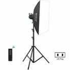 PULUZ 100W Photo Studio Strobe Flash Light Kit with Softbox Reflector & Tripod(US Plug) - 1
