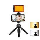 PULUZ Live Broadcast Smartphone Video Light Vlogger Kits with LED Light + Tripod Mount + Phone Clamp Holder(Black) - 1