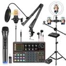 PULUZ Professional Microphone Live Sound Card Kit with Phantom Power and 1.6m Stand Selfie Ring Light, Chinese Version(Black) - 1