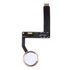 Home Button Assembly Flex Cable, Not Supporting Fingerprint Identification for iPad Pro 9.7 inch (Gold) - 1